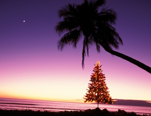 Christmas in Hawai’i